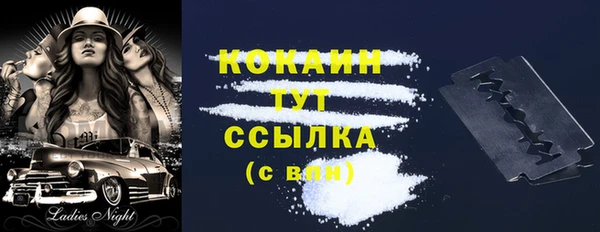 трава Гусиноозёрск