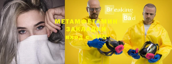 трава Гусиноозёрск