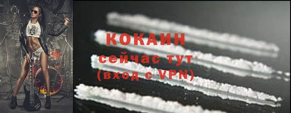 трава Гусиноозёрск
