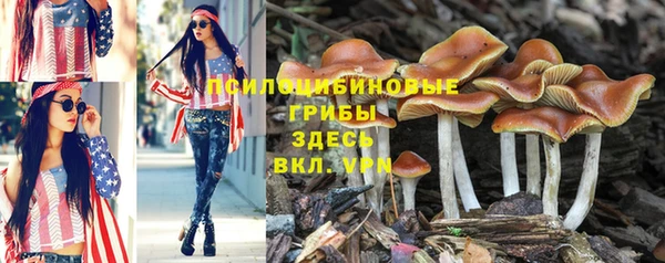 спиды Дмитриев