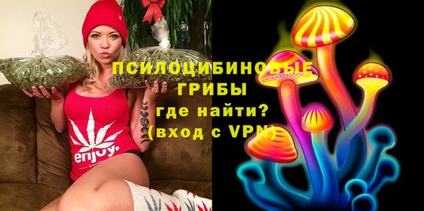 гидропоника Дмитровск