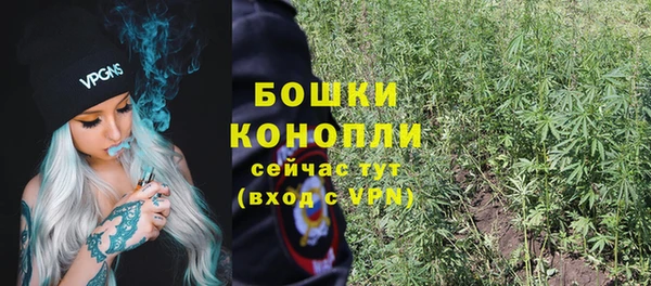 дурь Гусь-Хрустальный