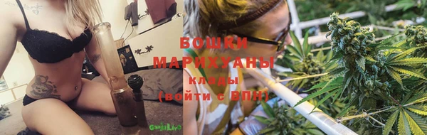 спиды Дмитриев